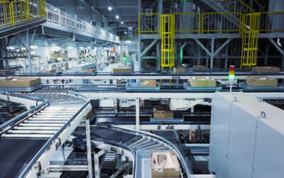 Convoyeur à accumulation : la solution clé pour des flux continus en milieu industriel